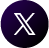 x-icon
